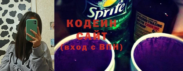 PSILOCYBIN Горняк
