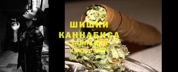 PSILOCYBIN Горняк