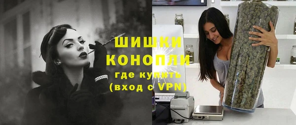 тгк Горно-Алтайск