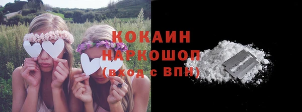 PSILOCYBIN Горняк