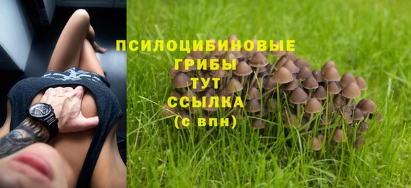 MDMA Premium VHQ Горнозаводск