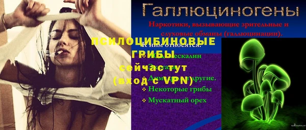 PSILOCYBIN Горняк