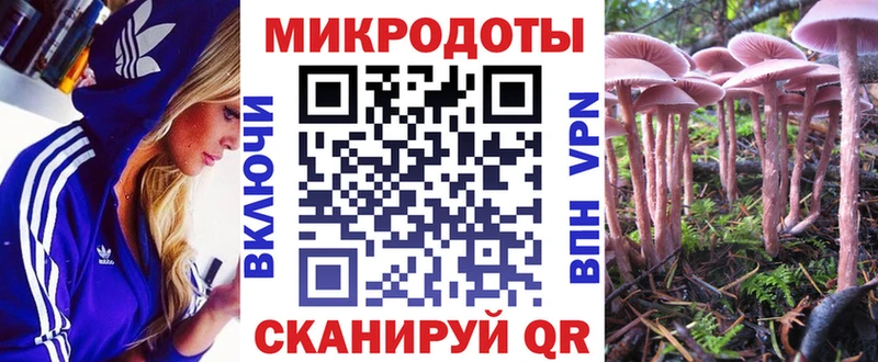 Галлюциногенные грибы Magic Shrooms  мега онион  Чухлома 
